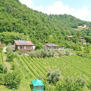 Agriturismo Ca Del Manenti Villa San Paolo d'Argon Exterior photo