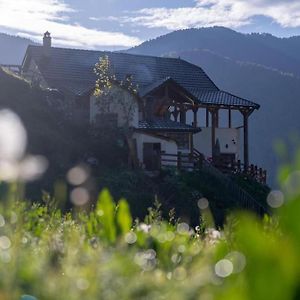 Alpin Zeneli Chalet Villa Cerem Exterior photo