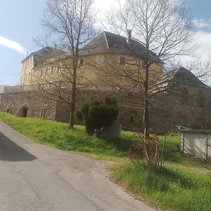 Ferienwohnung Im Rittergut Plohn 300 Meter Zum Freizeitpark Lengenfeld  Exterior photo