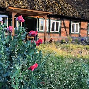 Haus Am Fluss Und See Villa Gartow Exterior photo