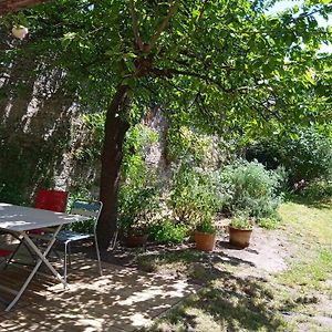 Le Petit Passage, Jardin Et Loire A Velo Apartment Ансени Exterior photo