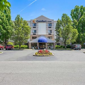 Comfort Inn Уайт Ривър Джънкшън Exterior photo