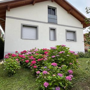 Casanobile "Il Grano" Apartment Мерате Exterior photo