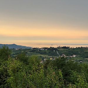 Guesthouse Green Istria Truške Exterior photo