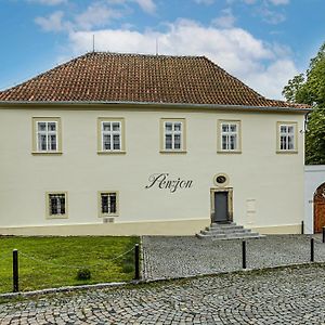 Penzion Popelka Hotel Руднице над Лабем Exterior photo