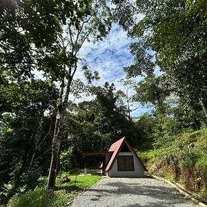 Chalet Brisas Guest House Alfombra Exterior photo