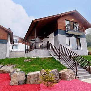 Mountain View Luxury Villa Бакуриани Exterior photo