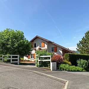 Maison Complete Entre Annecy Et Aix-Les-Bains Румии Exterior photo