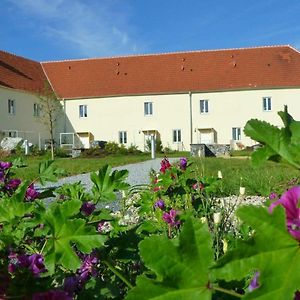 Ferienwohnungen Im Kloster Гарс-ам-Камп Exterior photo