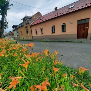 Kis Rigo Vendeghaz Hotel Salgótarján Exterior photo