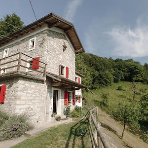 Il Borghetto Di Pedevilla, Antico Casale Cordellon Exterior photo