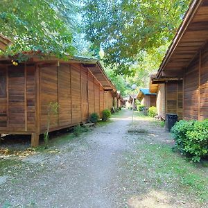 Chalet With Swimming Pool A Few Km From Rome Villa Ла Джустиниана Exterior photo