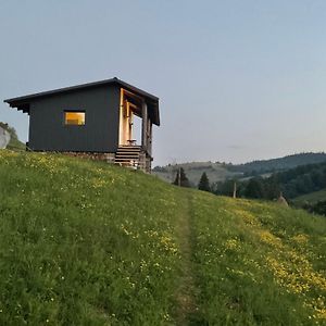 Котедж На Лузі Villa Verkhne-Studenyy Exterior photo