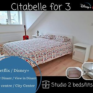 O Reflets - Citabelle For 3 - Studio 2 Beds View "Citadelle" Hotel Динант Exterior photo