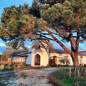 Le Castel De Lamothe Villa Сотерн Exterior photo