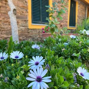 Quinta De Canelas Hotel Торе де Монкорво Exterior photo