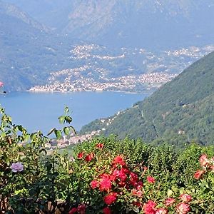 Lake Como, Villa Alessandra, Splendido Appartamento Con Magnifica Vista Sul Lago Pellio Inferiore Exterior photo