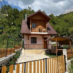 Guest House Shtepiza Тет Exterior photo