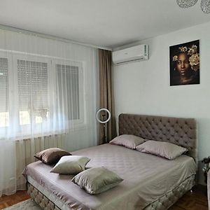 Apartman Tajna Apartment Sremcica Exterior photo