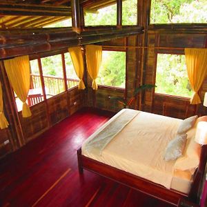 Bamboo Jungle Cabin Walkable Distance From River Villa Platanillo Exterior photo