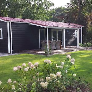 Garden View Chalet With Terrace Or Conservatory Near Amerongse Berg Villa Elst  Exterior photo