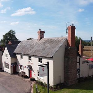 The Red Lion, Madley Hotel Херфорд Exterior photo