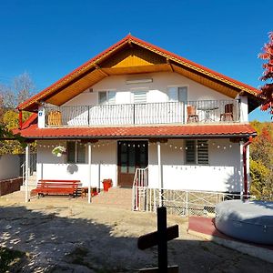 Casa Nib Calimanesti Hotel Exterior photo