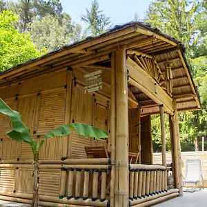 Suite Bambou Bien-Etre A Bali - Le Soleil Des Cevennes Сен-Жан-дю-Гар Exterior photo