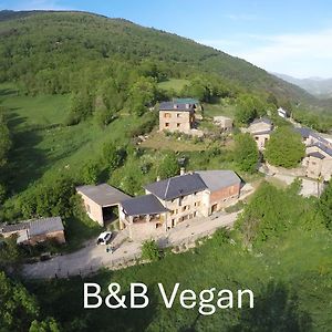 Cal Calau Vega Bed & Breakfast Планолес Exterior photo