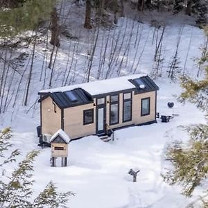 Thistle House At Camp Greenwood Vermont With Sauna Villa Chester Exterior photo