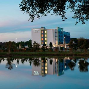 Springhill Suites By Marriott Tampa Suncoast Parkway Ланд О'Лейкс Exterior photo