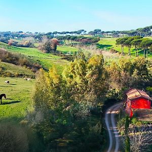 Escape To Comfort, Relax, And Love In Rome - Luxury Agriturismo 5 Suites Ла Джустиниана Exterior photo