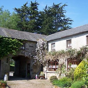 Ballinacourty House B&B Типерари Exterior photo