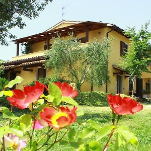 La Casa Di Gelsomino Villa Маса Мартана Exterior photo
