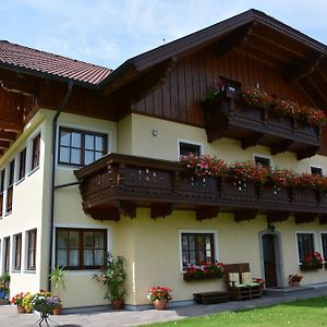 Appart Weisse Urlauben Am Wolfgangsee Санкт Гилген Exterior photo