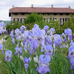 U Tej Bed & Breakfast Кумяна Exterior photo