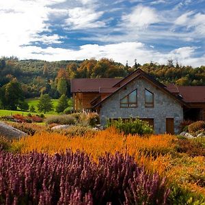 Chambre D'Hotes La Forestiere Bed & Breakfast Льо Овалд Exterior photo