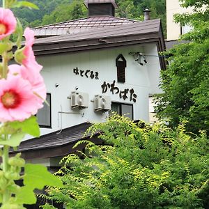 Hatoguruma Kawabata Hotel Нодзава Онсен Exterior photo