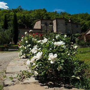 Agriturismo Azienda Agricola Il Pozzo Villa Capolona Exterior photo