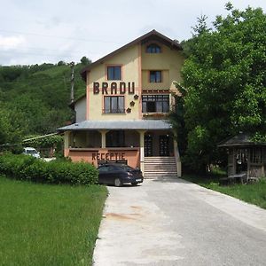 Pensiunea Bradu Hotel Piatra Neamţ Exterior photo