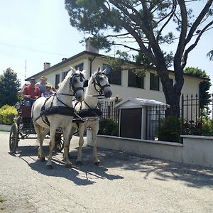 La Siesta Hotel Вилафранка ди Верона Exterior photo