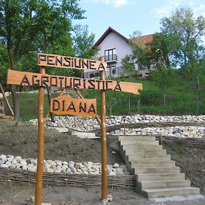 Pensiunea Agroturistica Diana Hotel Магура Exterior photo