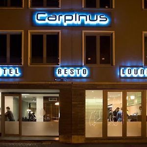 Hotel Carpinus Льовен Exterior photo