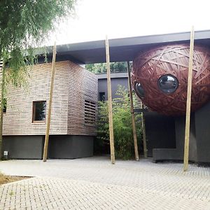 Un Nid Et Gite A Tournai Hotel Exterior photo