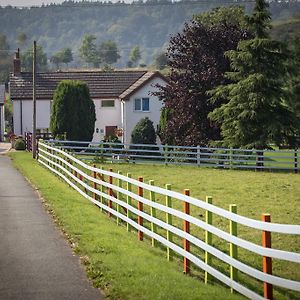 Glan Llyn Farm House Villa Молд Exterior photo