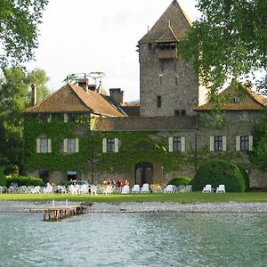 Chateau De Coudree - Les Collectionneurs Сие Exterior photo