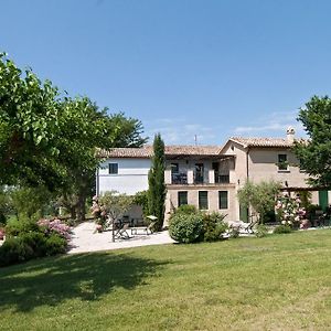 Vigna Sant' Amico Country House Apartment Morro dʼAlba Exterior photo