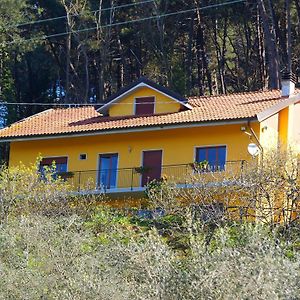 Modern Holiday Home In Pescia Tuscany With Swimming Pool Exterior photo