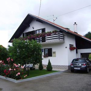 House Osana Hotel Грабовац Exterior photo