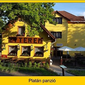 Platan Panzio Hotel Добогокьо Exterior photo